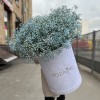 25 голубых гипсофил в бархатной коробке